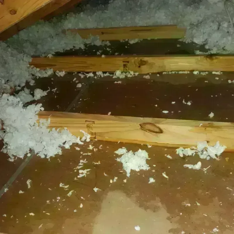 Attic Water Damage in Nashville, IN