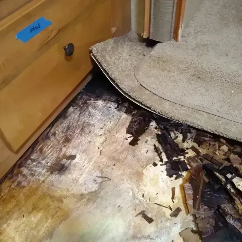 Wood Floor Water Damage in Nashville, IN